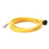 Allen-Bradley 889N-F5AE-12F Mini/Mini Plus, Female, Straight, 5-Pin, PVC Cable, Yellow, Unshielded, IEC Color Coded, No Connector, 12 feet (3.66 meters), 18AWG