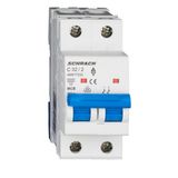 Miniature Circuit Breaker (MCB) AMPARO 6kA, C 32A, 2-pole