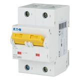 Miniature circuit breaker (MCB), 25A, 2p, D-Char, AC