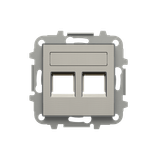 8518.2 AI Cover plate for data outlet 2-gangs - Stainless Steel Data connection 2 gang Stainless steel - Sky Niessen