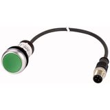 Pushbutton, Flat, momentary, 1 N/O, Cable (black) with M12A plug, 4 pole, 0.2 m, green, Blank, Bezel: titanium