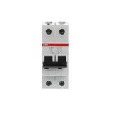 S202L-C6 Miniature Circuit Breaker - 2P - C - 6 A