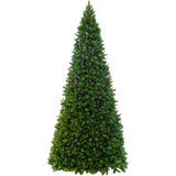 Christmas Tree Colorado