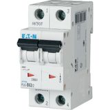 Miniature circuit breaker (MCB), 63 A, 2p, characteristic: C