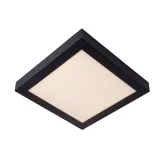 BRICE-LED Ceiling L. Dimmable 30W Square IP44 Blac