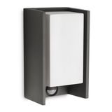 Bridge wall lantern anthracite 1x42W 230 IR