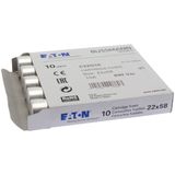 Fuse-link, LV, 10 A, AC 690 V, 22 x 58 mm, gL/gG, IEC