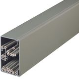 Trunking 60x110,grey