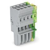 1-conductor female connector CAGE CLAMP® 4 mm² green-yellow/gray