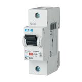 Miniature circuit breaker (MCB), 63A, 1p, D-Char