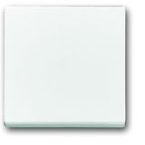 1786-84 CoverPlates (partly incl. Insert) future®, Busch-axcent®, solo®; carat® Studio white