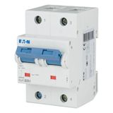 Miniature circuit breaker (MCB), 20A, 2p, B-Char, AC