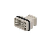 Contact insert (industry plug-in connectors), Male, 250 V, 10 A, Numbe