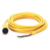 Allen-Bradley, 889N-F5AEC-12F, Mini/Mini Plus, Female, Straight, 5-Pin, PVC Cable, Yellow, Unshielded, US Color Coded, No Connector, 12 feet (3.66 meters)