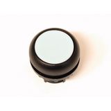 Pushbutton, RMQ-Titan, Flat, maintained, White, Blank, Bezel: black