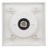 Dimmer cover, silver