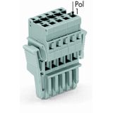 1-conductor female connector CAGE CLAMP® 4 mm² gray