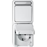 Combination SCHUKO socket with BRS/changeover switch, polar white, AQUASTAR