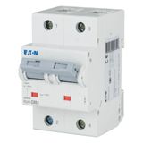 Miniature circuit breaker (MCB), 80A, 2p, C-Char, AC