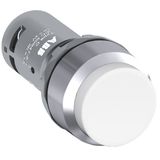 CP3-30W-20 Pushbutton