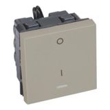 Arteor™ - 1-way double pole switch - with indicator 20 AX 250 V~ - 2 modules - Champagne