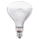Special Standard Lamp 250W E27 R125 Infrared Incandescent Industrial Heat Patron