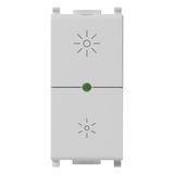 MASTER dimmer 120V Silver