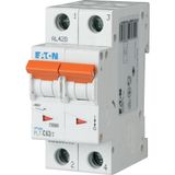 Miniature circuit breaker (MCB), 63 A, 2p, characteristic: C