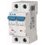 Miniature circuit breaker (MCB), 20 A, 2p, characteristic: C