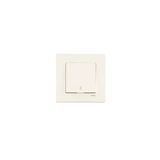 Karre Beige Dual Switch