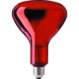 Special Standart Lamp 100W E27 R95 RED Infrared Incandescent Industrial Heat Patron