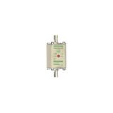 Fuse-link NH00 aM 500VAC 160A live tags Double indicator