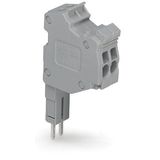 Modular TOPJOB®S connector modular for jumper contact slot gray