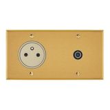 Art d'Arnould univers Memory 2P+E 16A 250V power socket and single television socket - brushed gold