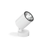 Andho Mini, 27 W, 3100 lm, 830, white, DALI Spotlights, L 190 B 114 H 