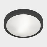 Ceiling fixture IP66 BASIC LED 21.4W 2700K Gold 2606lm