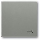 2520 TR-803 CoverPlates (partly incl. Insert) Busch-axcent®, solo® grey metallic