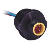 Allen-Bradley, 888D-M4AC1-0M3, Receptacle, DC Micro (M12), Male, Straight, 4-Pin, 22AWG, 0.3 meters (0.984 feet)