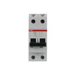 S202L-C20 Miniature Circuit Breaker - 2P - C - 20 A