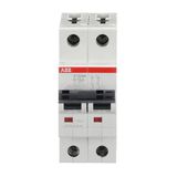 ST202M-K13 Miniature Circuit Breaker - 2P - K - 13 A