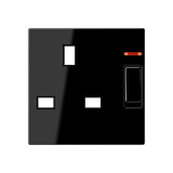 Centre plate for socket insert 3171 KO EINS, thermoplastic, A range, black