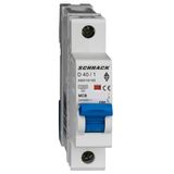 Miniature Circuit Breaker (MCB) AMPARO 10kA, D 40A, 1-pole