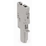 1-conductor female connector CAGE CLAMP® 4 mm² gray