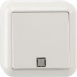 Button with orientation light and N terminal, 1-pole changeover, polar white, surface-mounted