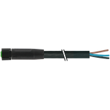 M8 female 0° A-cod. with cable Lite PVC 3x0.25 bk UL/CSA 5m