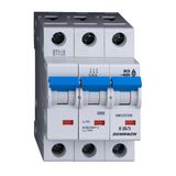 Miniature Circuit Breaker (MCB) D, 25A, 3-pole, 10kA, 40ø C