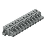 1-conductor female connector CAGE CLAMP® 2.5 mm² gray