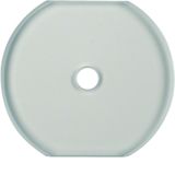 Glass cover centre plate f. rot. switch/spring-return push-button, cle
