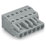 1-conductor female connector CAGE CLAMP® 2.5 mm² gray