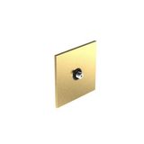 Art d'Arnould - 1 gang television socket F-type socket Epure - Brushed Gold